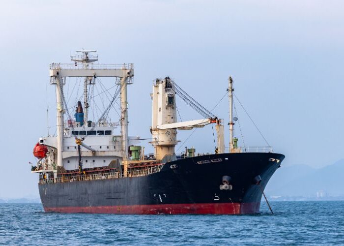 Professional Ship Chandling Services UAE
